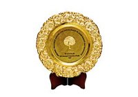 Golden Peacock Global Award for Excellence in Corporate Governance 2015